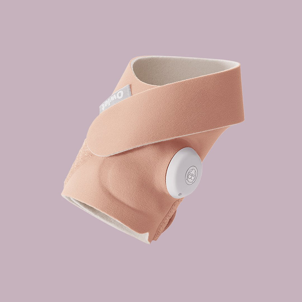 Owlet shop sock set