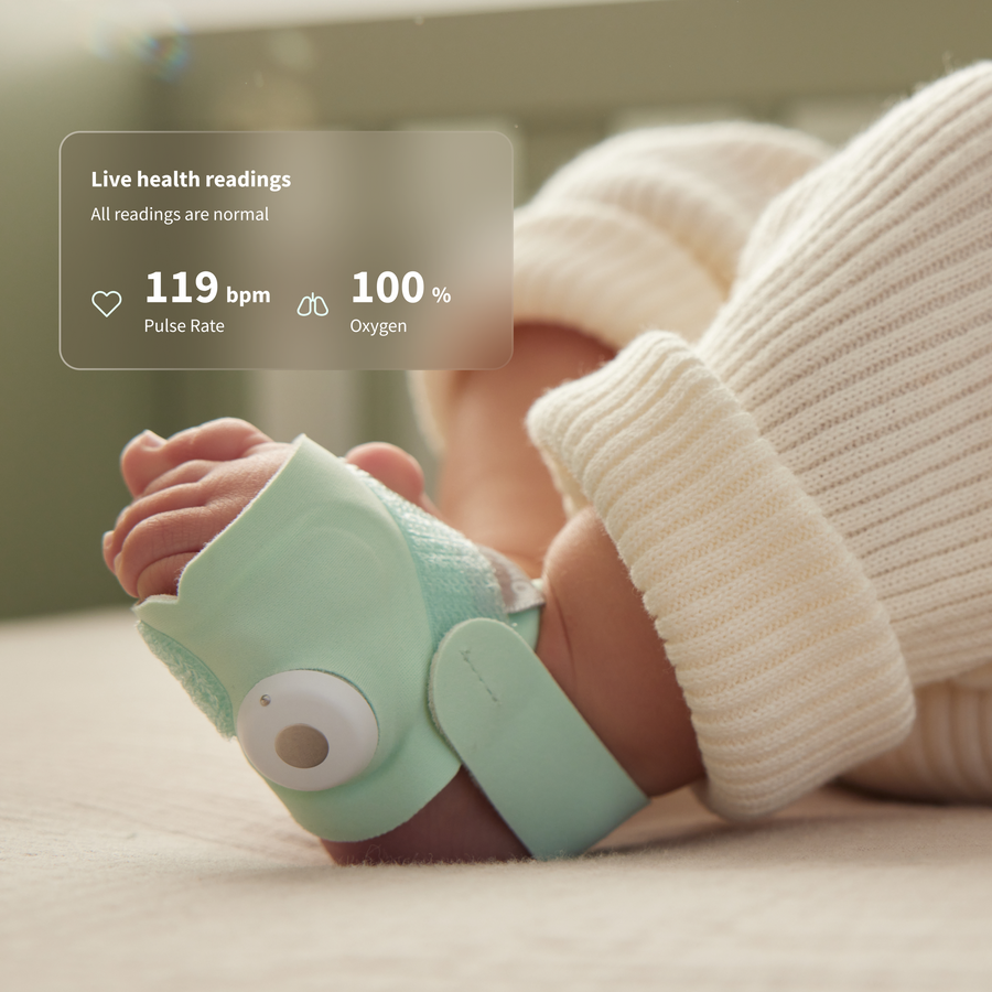 Owlet Dream Duo™
