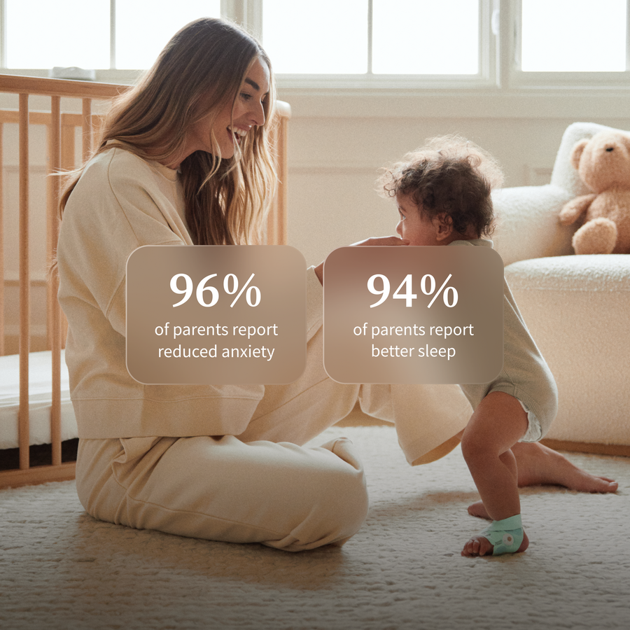 Owlet Dream Duo™